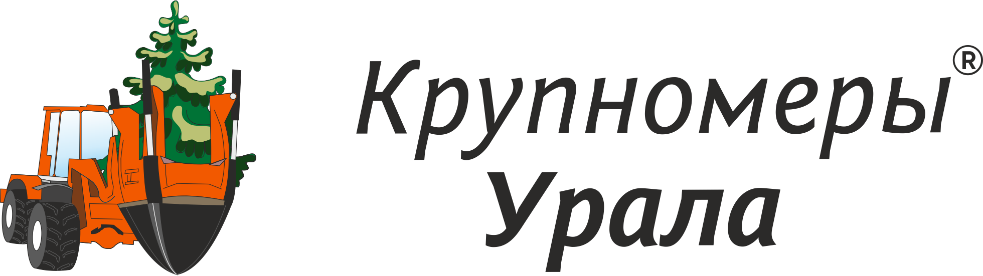 Купить саженцы клена остролистного в Ижевске✔️ стоимость - питомник  «Крупномеры Урала»